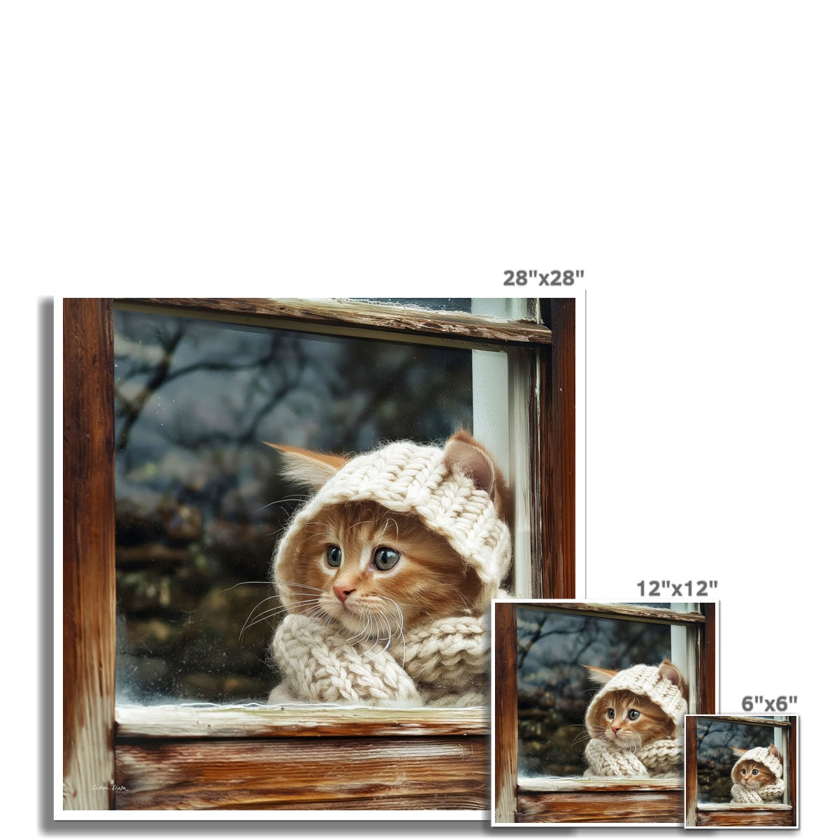 Patience Fine Art Print