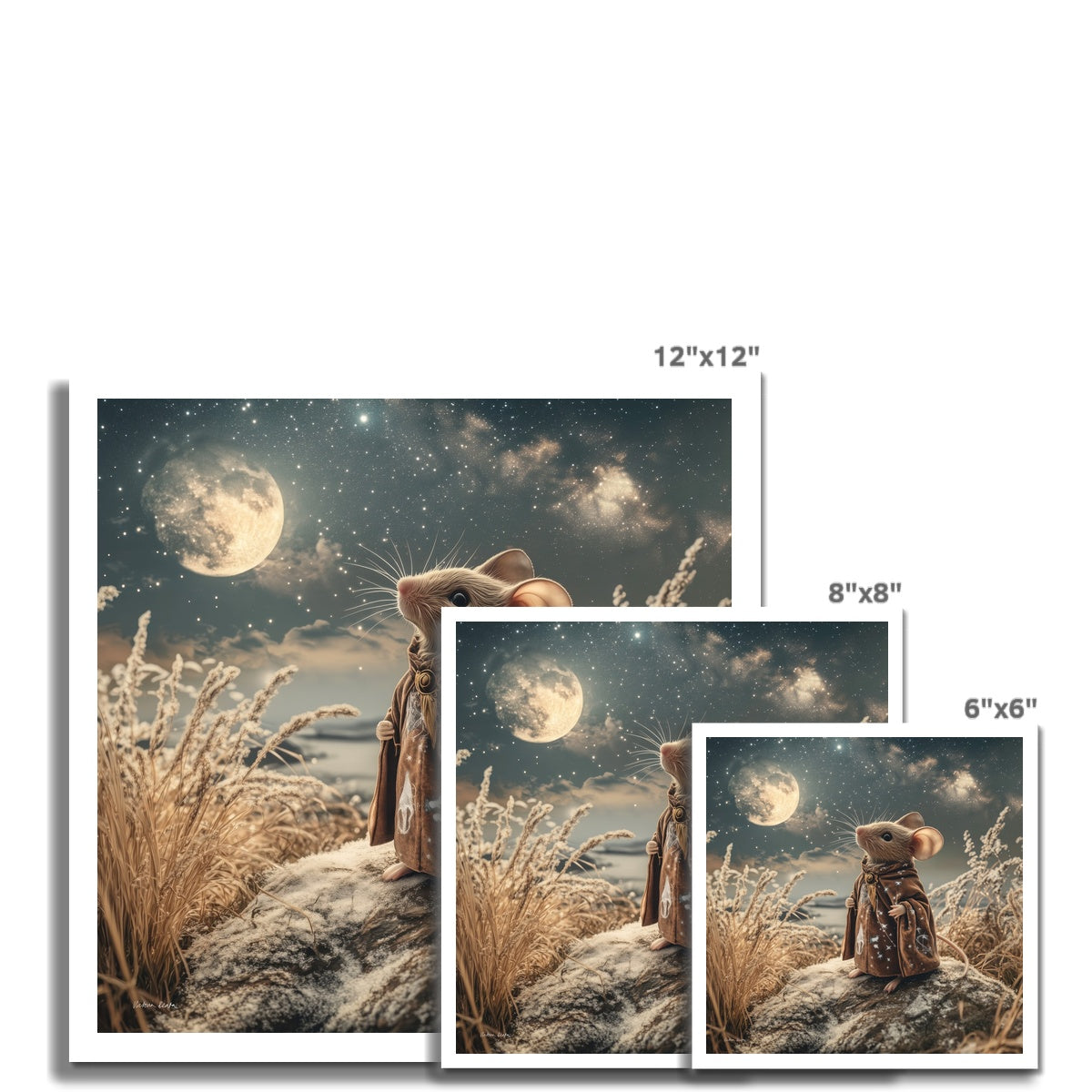 The New Day Fine Art Print