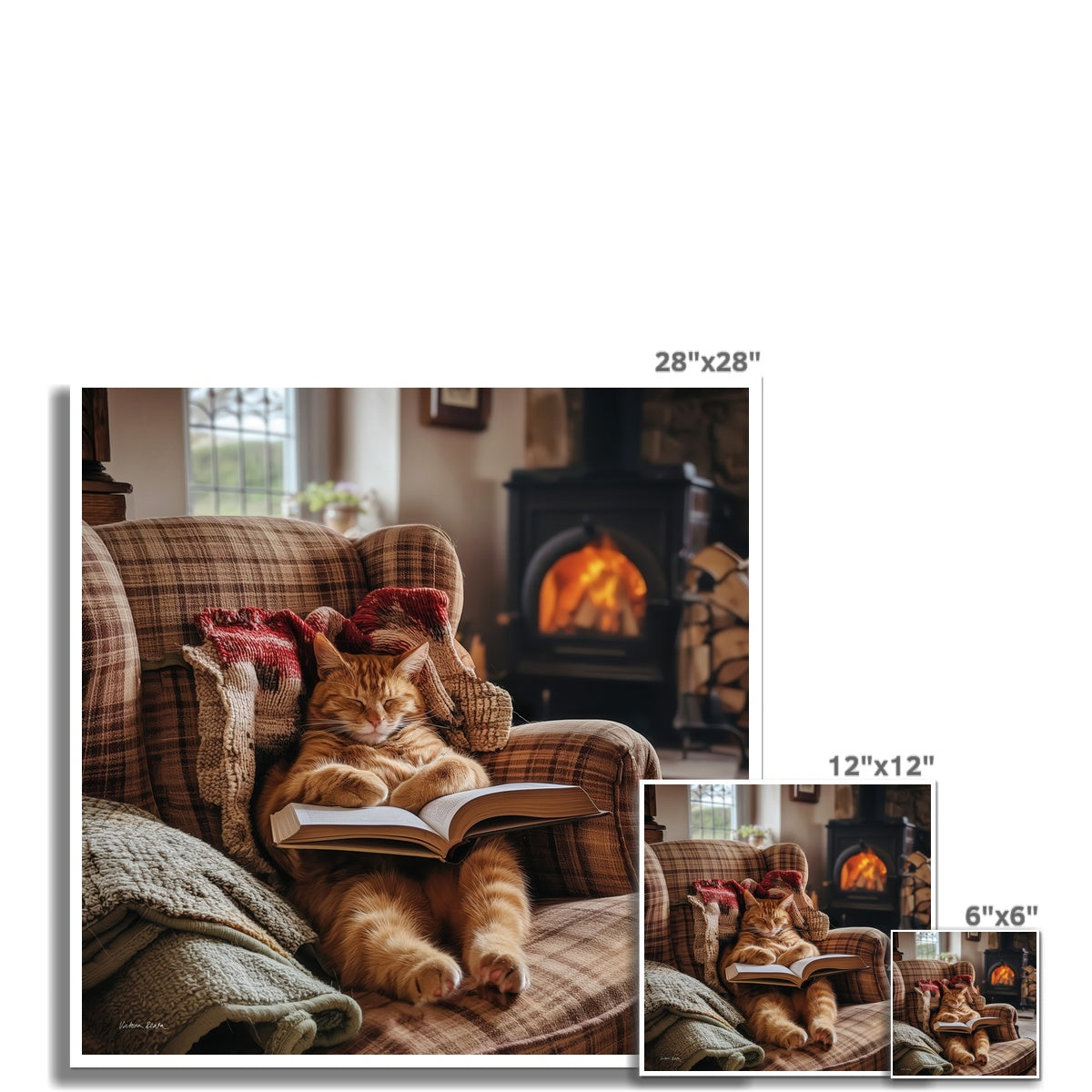 Home Fine Art Print
