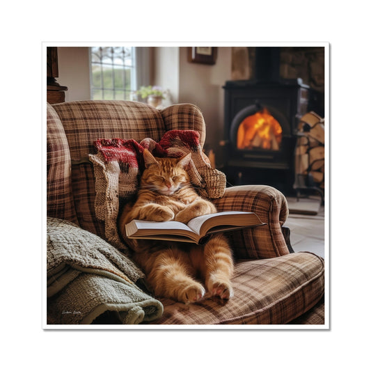 Home  Fine Art Print