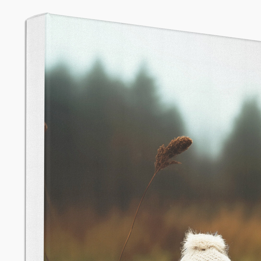 Autumn Canvas
