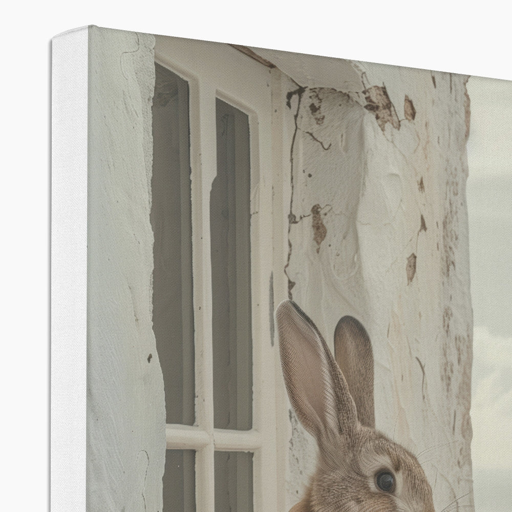 Rabbit's View Canvas
